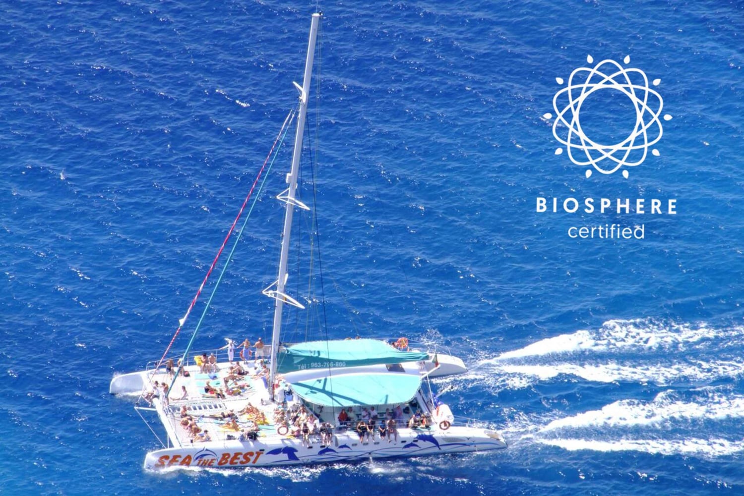 Madeira: Cabo Girão, Experiência de Vinhos e Observação de Golfinhos