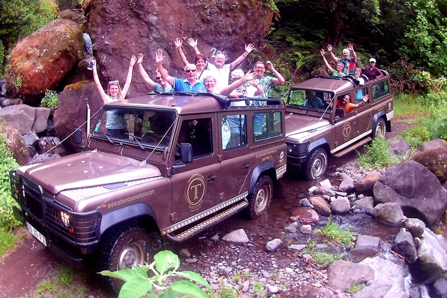 Madeira: Cabo Girão, Experiência de Vinhos e Observação de Golfinhos