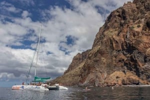 Madeira: Cabo Girão, Wines Experience and Dolphins Watching