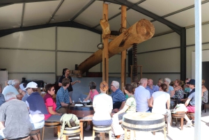 Madeira: Cabo Girão, Experiência de Vinhos e Observação de Golfinhos