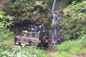 Madeira: Cabo Girão, Experiência de Vinhos e Observação de Golfinhos