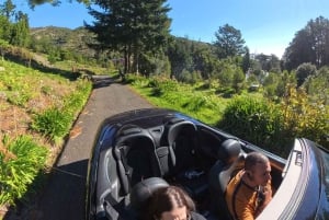 Madeira: Cabriolet-tur med Skywalk og Câmara de Lobos