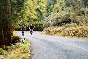 Madeira: Camacha E-Bike & Hike Tour Through Rural Madeira