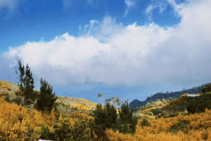 Madeira: Camacha E-Bike & Hike Tour Through Rural Madeira