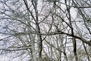 Madeira: Camacha E-Bike & Hike Tour Through Rural Madeira