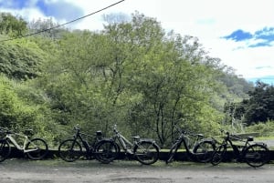 Madeira: Camacha E-Bike & Hike Tour Through Rural Madeira