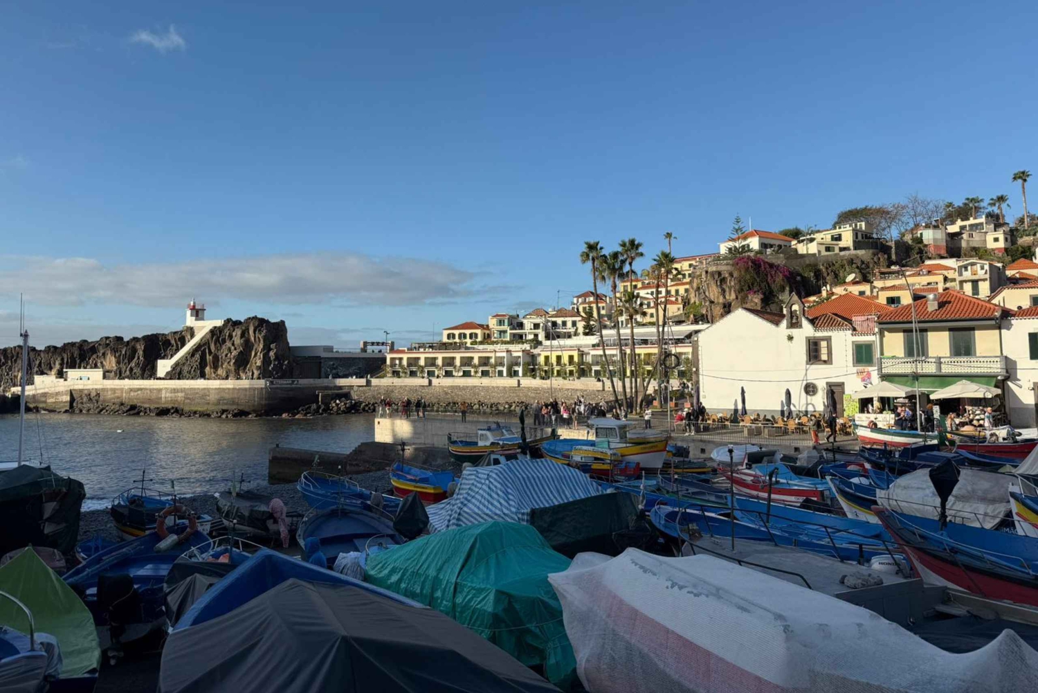 Madeira: Câmara de Lobos & Cabo Girão Half-Day Jeep Tour