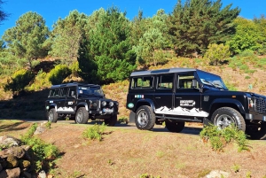 Madeira: Câmara de Lobos & Cabo Girão Half-Day Jeep Tour