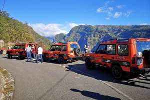 Madeira: Câmara de Lobos & Cabo Girão Half-Day Jeep Tour