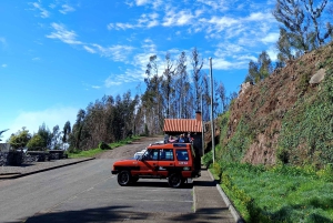 Madeira: Câmara de Lobos & Cabo Girão Half-Day Jeep Tour