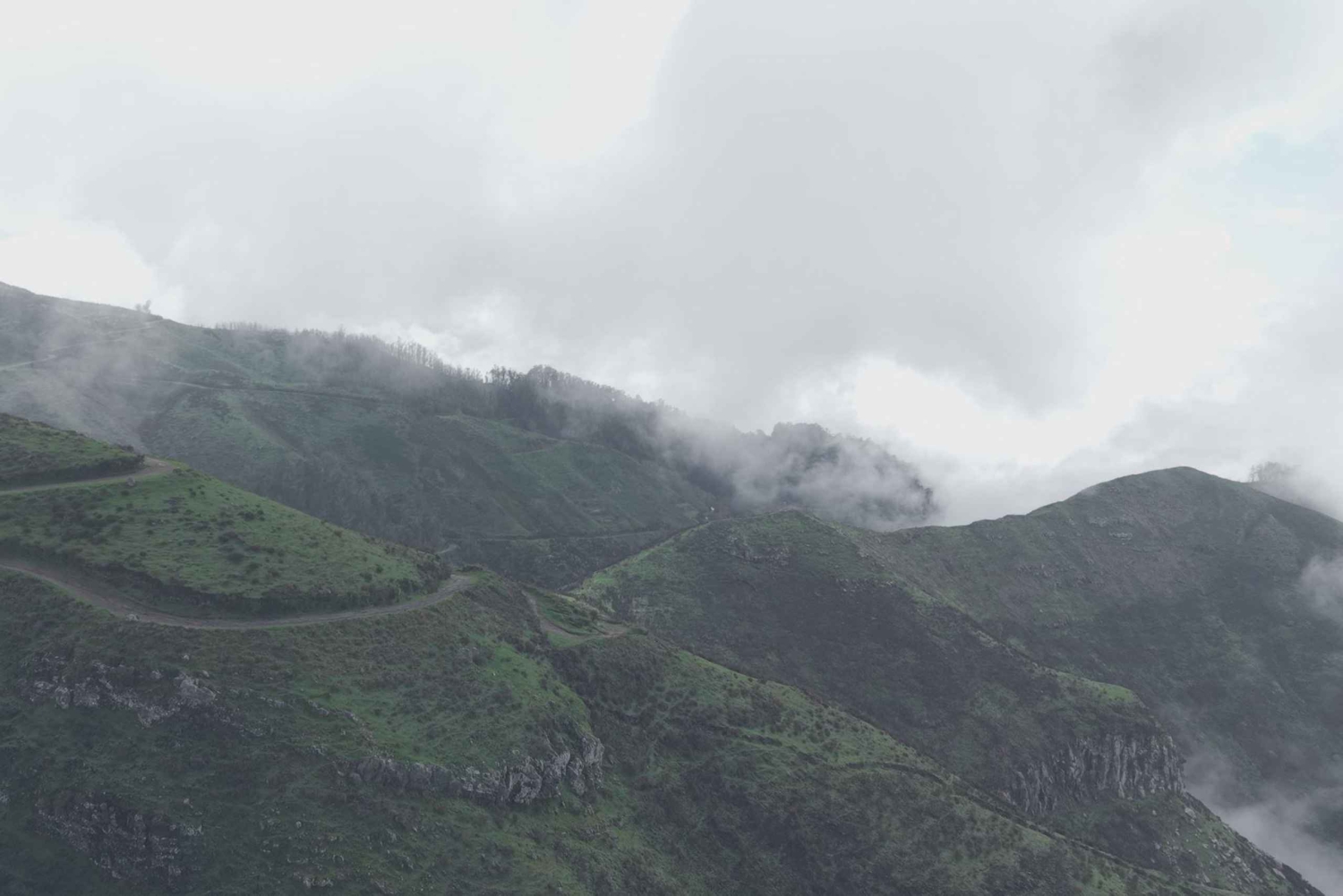Madeira: tour de medio día a Câmara de Lobos y Cabo Girão