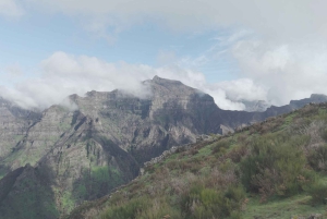Madeira: tour de medio día a Câmara de Lobos y Cabo Girão