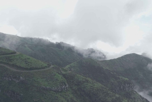 Madeira: tour de medio día a Câmara de Lobos y Cabo Girão