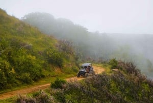 Madeira: Can-Am Off-Road Buggy Guided Adventure