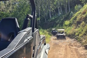 Madeira: Can-Am Off-Road Buggy Guided Adventure