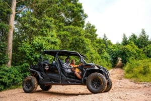 Madeira: Can-Am Off-Road Buggy Guided Adventure