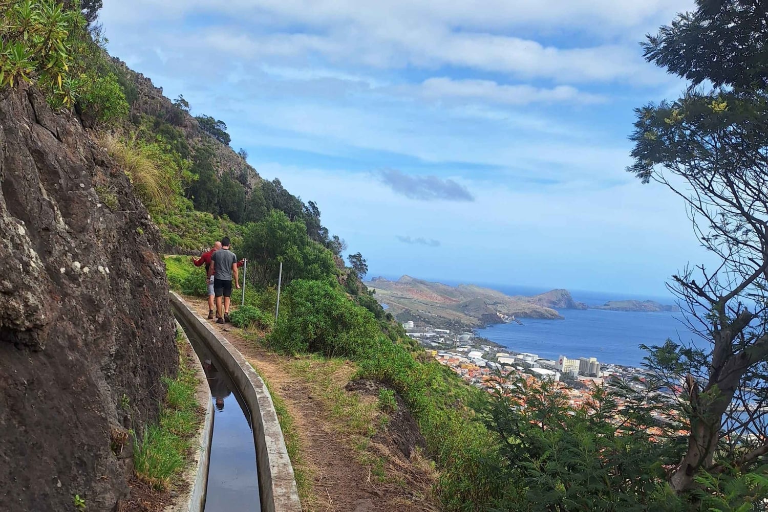 Madeira: Passeio da Levada do Caniçal com Prova de Poncha