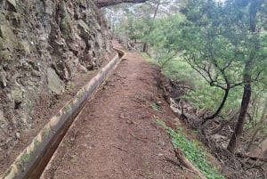 Madeira: Caniçal Levada Walk with Poncha Tasting