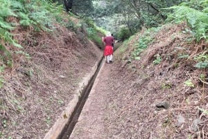 Madeira: Caniçal Levada Walk with Poncha Tasting