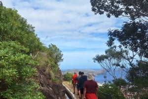 Madeira: Caniçal Levada Walk with Poncha Tasting