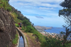 Madeira: Passeio da Levada do Caniçal com Prova de Poncha