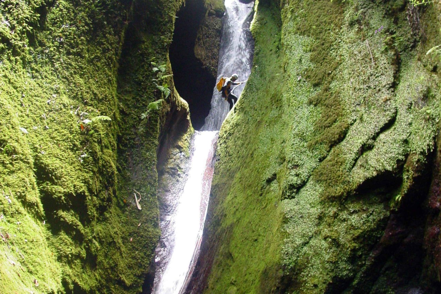 Madeira: Aventura de Canyoning Nível 1