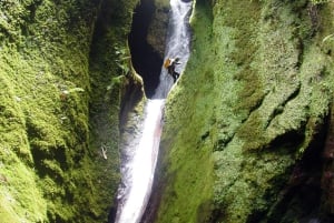 Madeira: Aventura de Canyoning Nível 1