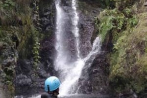Madeira: Aventura de Canyoning Nível 1
