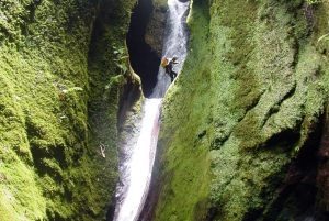 Madeira: Canyoning Adventure Level 1