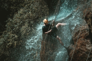 Madeira: Canyoning Adventure Level 1