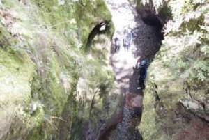 Madeira: Canyoning Adventure Level 1