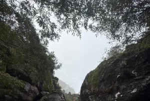 Madeira Canyoning