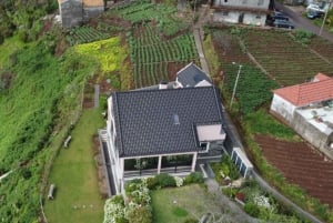 Ostprovning och te-rundtur på Madeira