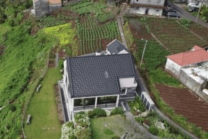 Ostprovning och te-rundtur på Madeira