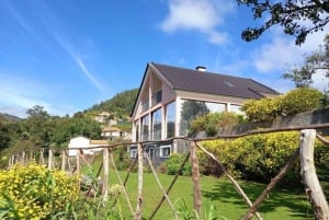 Ostprovning och te-rundtur på Madeira