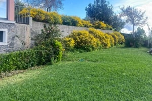 Ostprovning och te-rundtur på Madeira