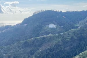 Ostprovning och te-rundtur på Madeira