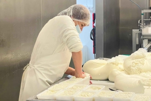 Madeiran juustonmaistelu ja teekierros