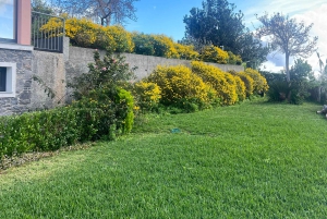 Madeiran juustonmaistelu ja teekierros