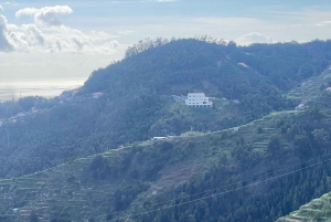 Madeiran juustonmaistelu ja teekierros