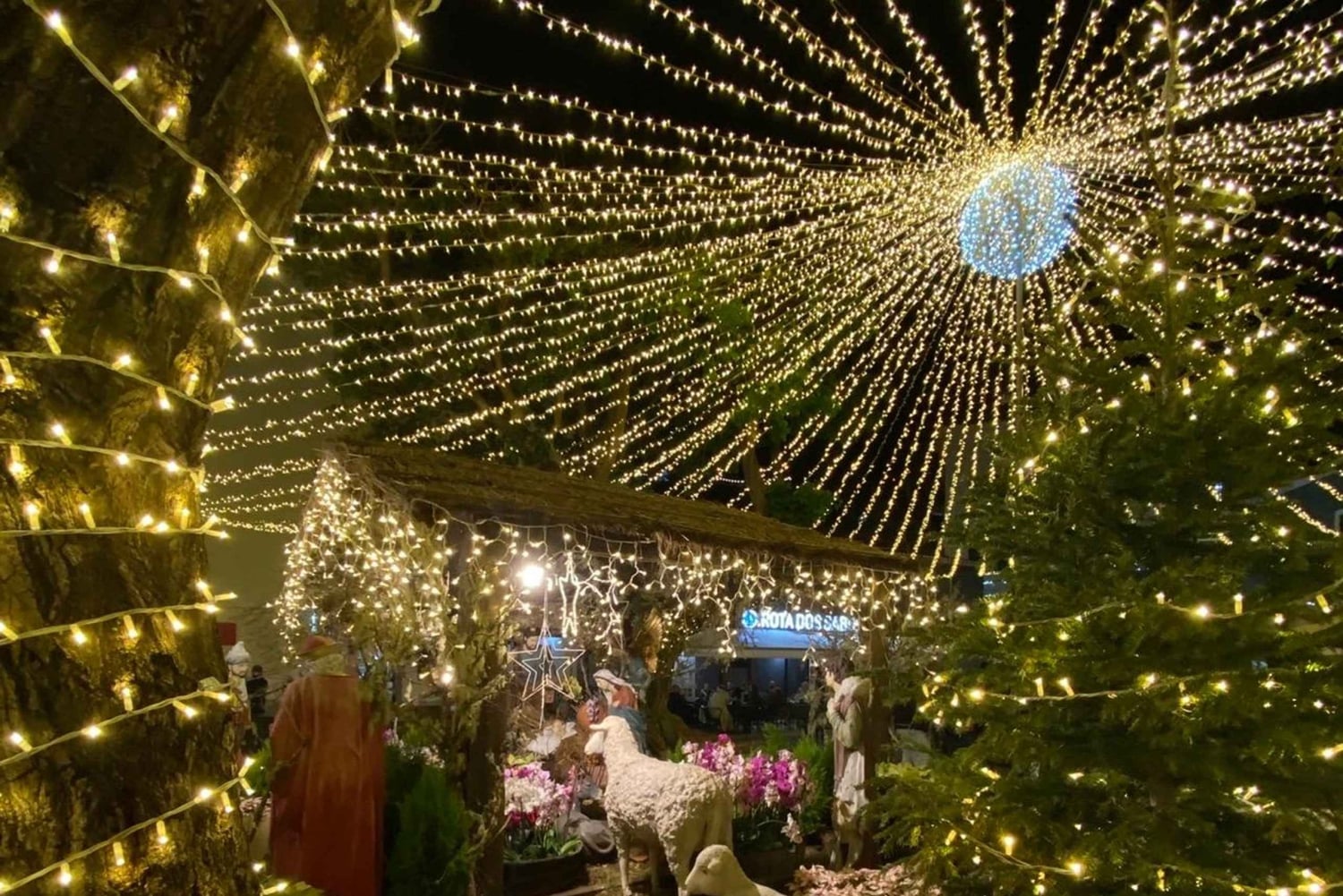 マデイラ島：村を訪れるクリスマスライト・ジープツアー