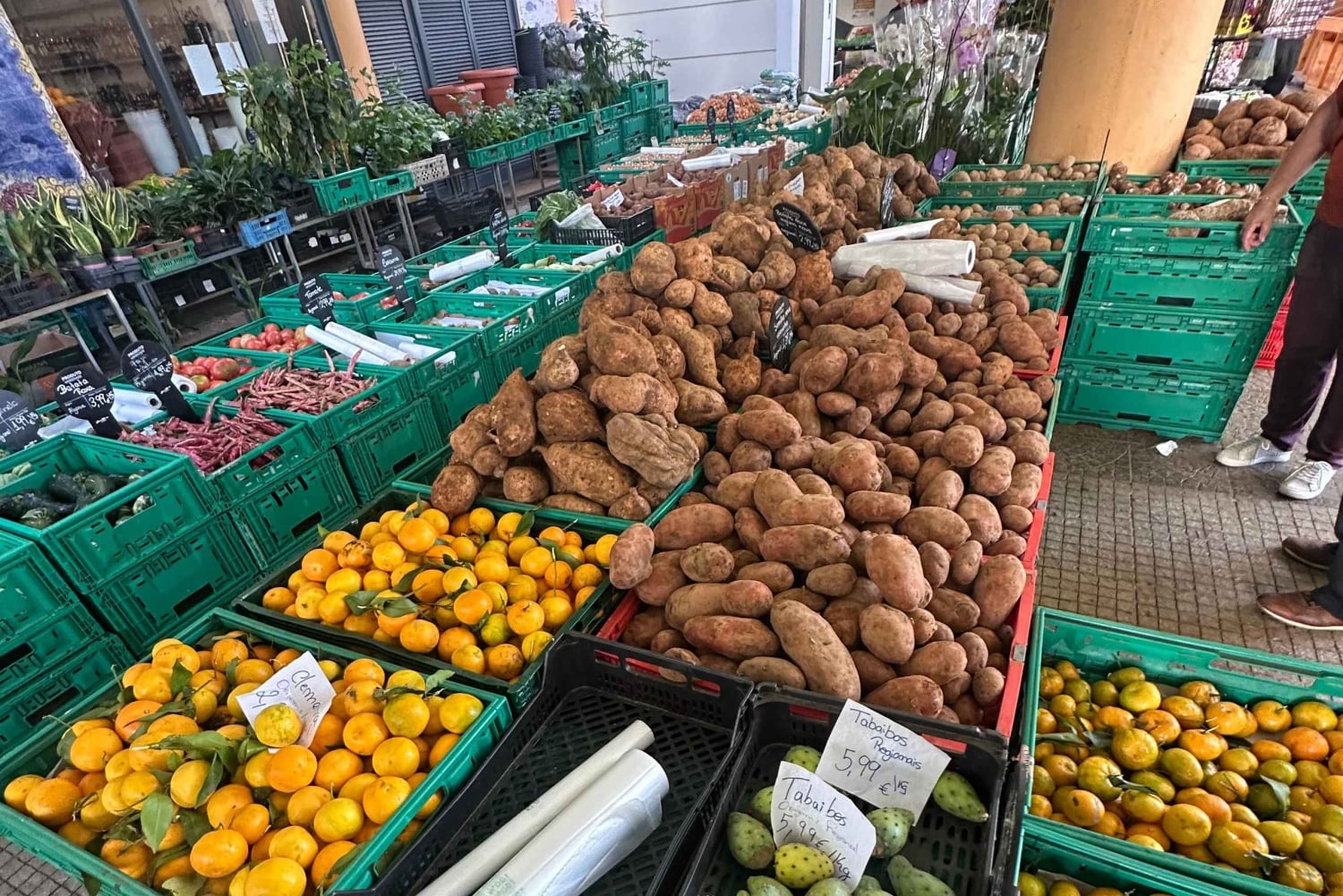 マデイラ島：村を訪れるクリスマスライト・ジープツアー