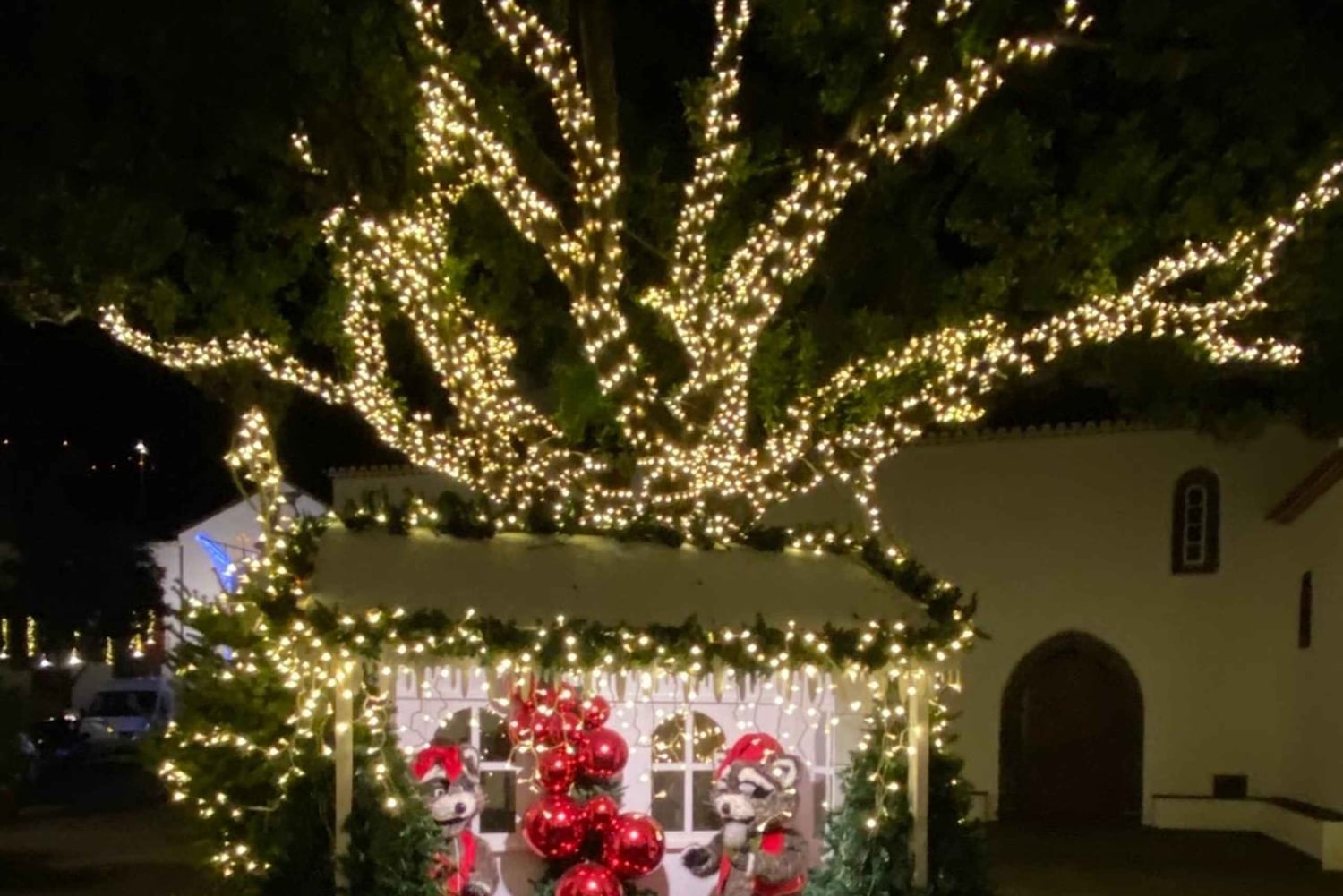 マデイラ島：村を訪れるクリスマスライト・ジープツアー