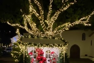 マデイラ島：村を訪れるクリスマスライト・ジープツアー