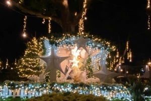 マデイラ島：村を訪れるクリスマスライト・ジープツアー