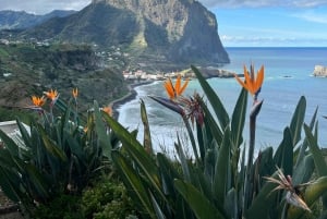 Madeira: Cliff Hanger Vereda Larano Hike Machico