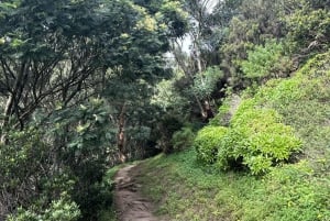 Madeira: Cliff Hanger Vereda Larano Hike Machico