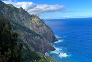 Madeira: Cliff Hanger Vereda Larano Hike Machico