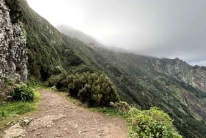 Madeira: Cliff Hanger Vereda Larano Hike Machico