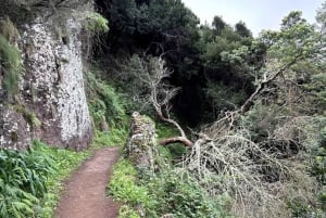 Madeira: Cliff Hanger Vereda Larano Hike Machico